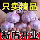 2025新鲜干蒜头开封杞县农家自种紫白皮大蒜头干蒜5 9斤做腊八蒜