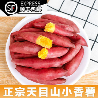 临安天目山小香薯正宗5斤新鲜红薯板栗番薯农家自种地瓜甘薯山芋
