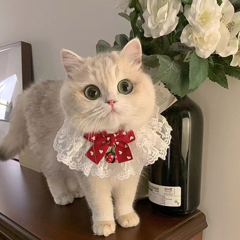 宠物围巾猫咪围脖网纱蝴蝶结可爱狗狗装饰品蕾丝项圈口水巾围兜