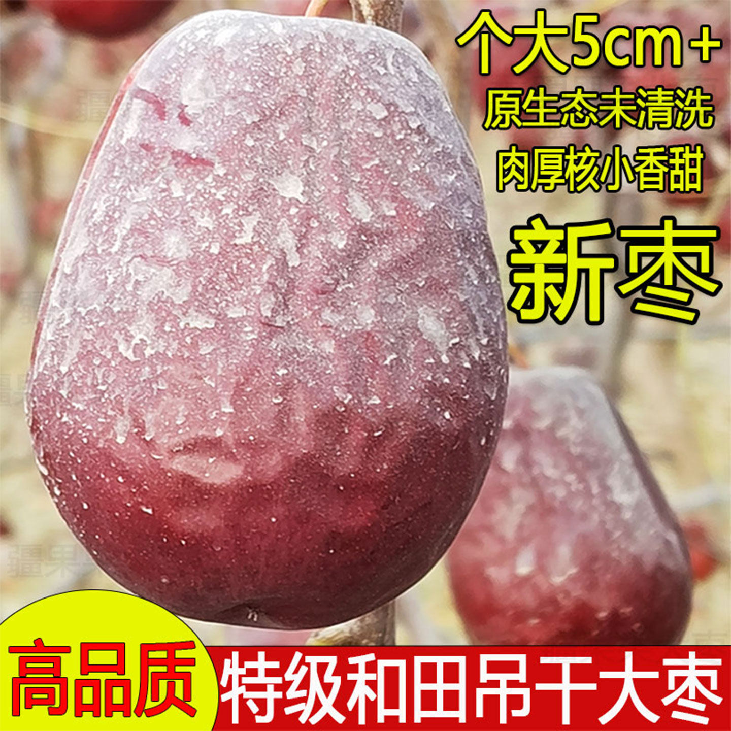 25年新枣特大2-6cm红枣原生态未清洗六星玉枣新疆特级和田大枣子