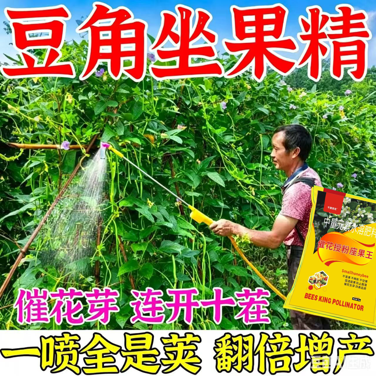 千蔬百花豆角花促荚叶面肥