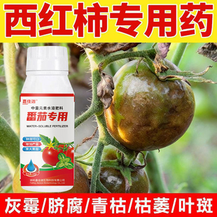 番茄专用药番茄黑杆病炭疽病溃疡病早晚疫病灰霉病霜霉病叶斑害清