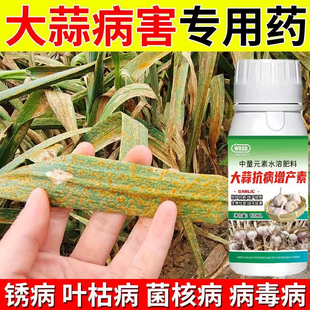 大蒜病专用药锈病根腐病黄叶烂根干尖病软腐病紫斑病全治杀菌正品