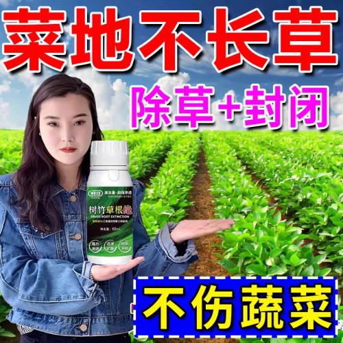 蔬菜苗后专用除草剂不伤青菜