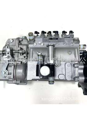 喷油泵101062-8510-8520-8050115603-2610和和105411-2300