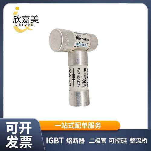 FWP-80A22Fa  FWP-100A22Fa 快速熔断器  保险丝 电子元器件 现货