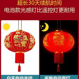 2025新款大红灯笼灯吊灯过年春节新年装饰户外大门口一对阳台挂饰