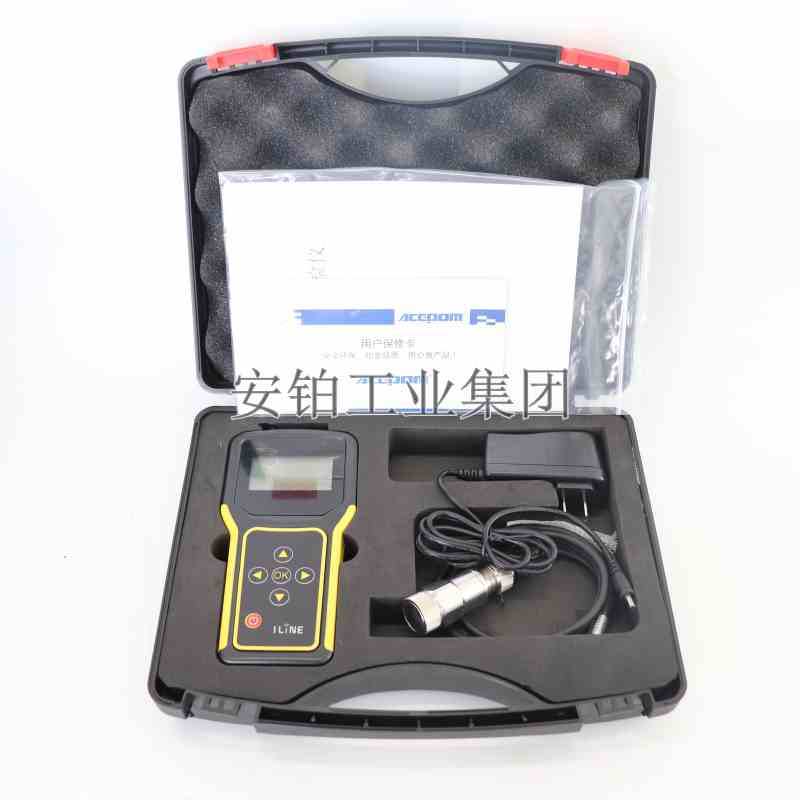 安铂L法智能轴承检测仪DP-BT2000A测速度位移多功能轴承故障诊断