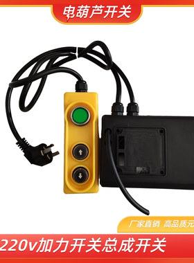 微型电动葫芦吊机开关小型上下按钮220v加力开关总成提升起重开关