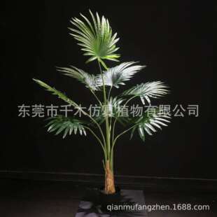 家居室内装饰圆叶蒲葵树景观餐厅装饰仿真假蒲葵盆栽工厂直销现货
