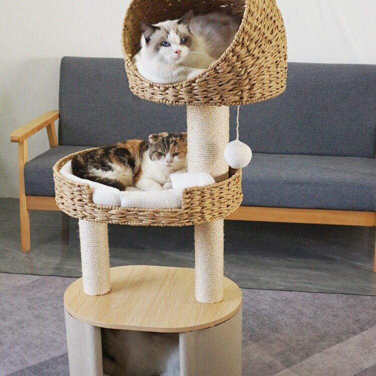 实木柱子藤编猫爬架猫树猫窝包邮猫抓板猫跳台剑麻猫别墅