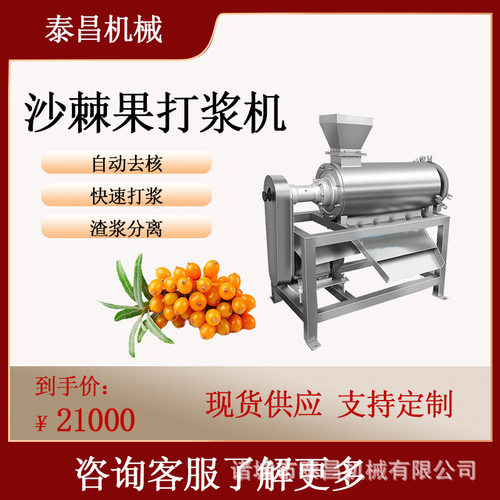 沙棘果打浆机桑葚螺旋榨汁机葡萄榨汁分离机妃子笑去核打浆设备