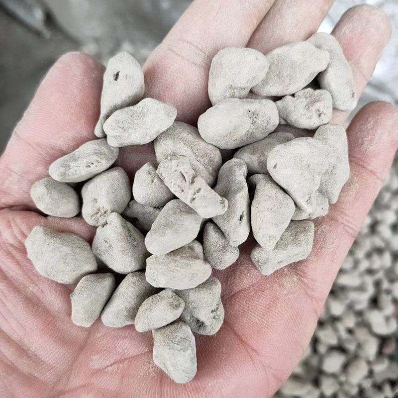 浮石颗粒园艺用轻石颗粒水处理用大块白色轻石块白色浮石