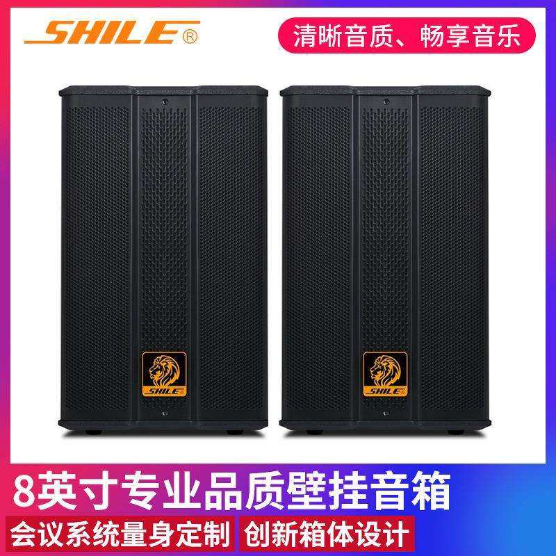 狮乐BX-503会议音响8英寸壁挂音箱培训室家用卡拉OKKTV定阻音箱