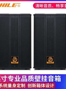 狮乐BX-503会议音响8英寸壁挂音箱培训室家用卡拉OKKTV定阻音箱