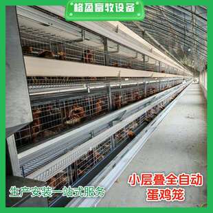 3层4层小层叠蛋鸡笼层叠式全自动捡蛋清粪养殖设备养鸡场专用