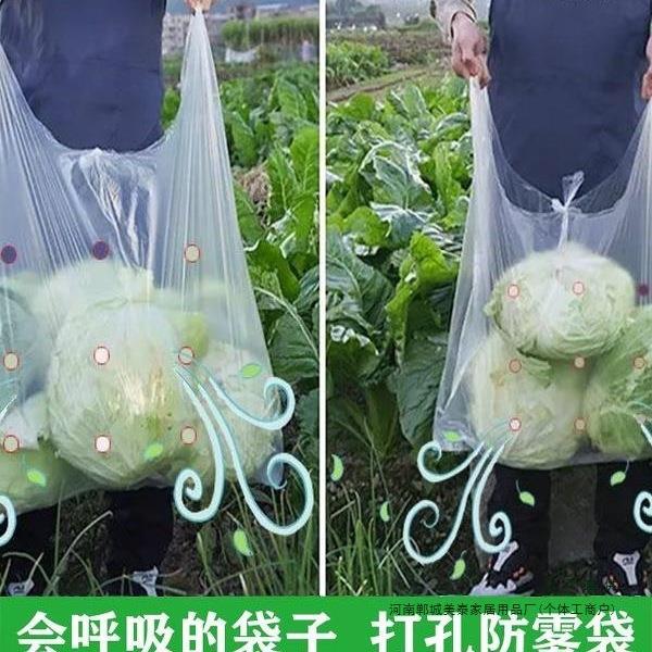 水果蔬菜防雾袋透气打孔袋子白色透明加厚塑料袋加大号手提背心袋