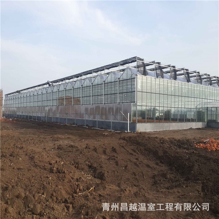 大型遮阳温室工程骨架5+6+5中空玻璃骨架新型温室厂家安装设计