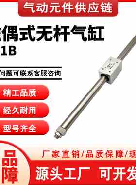 SMC磁偶式无杆气缸CY1B40/50/63-50-100-150-200-250-300 CY3B