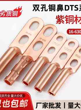国标双孔DTS铜鼻子接线端子紫铜镀锡铜线耳16/25/35/50/70/95平方