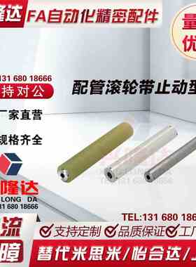 ROLNT ROLNA ROLNS-D40~80 d12~35 L550~1000 带止动螺丝型长配管