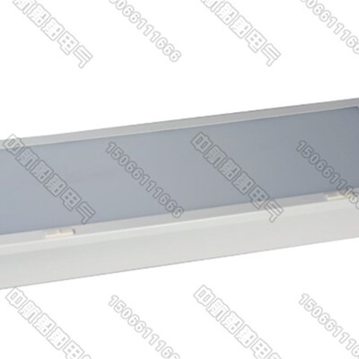 亮舟船用灯管式LED航行双管荧光蓬顶灯具JPY/ZYP22-2/2E应急CCS证
