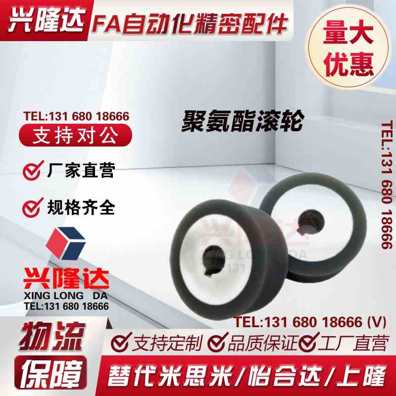 ROGAKN20/25/30/35/40/50-8/10/12/15/20/25-60/70/80/90/100滚轮