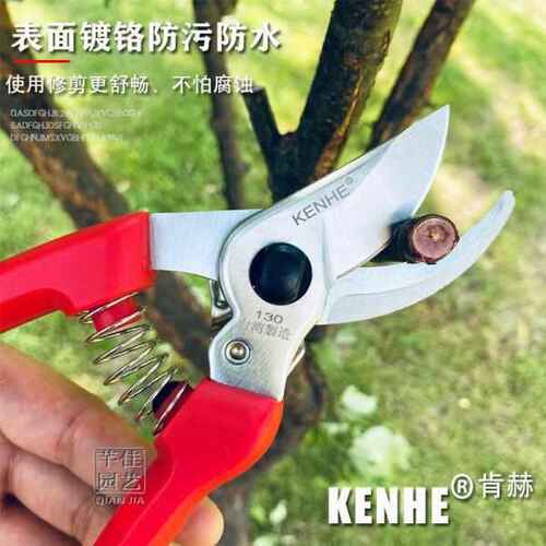 钢本钢耐用修剪老树枝进省力sk5日吉修枝台湾剪刀川佐剪台湾130