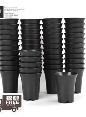 装2000圆个盆高【腰盆mini丨#万象特小号50】磨砂套餐