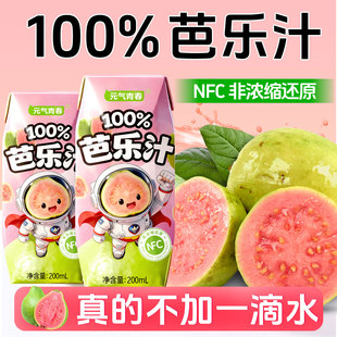 盒NFC非浓缩还原配料干净0添加 100%芭乐汁200ml 网红爆款