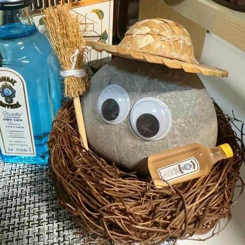 纯天然鹅卵石宠物石头可爱风桌面摆件养石头网红宠物陪伴萌趣石头