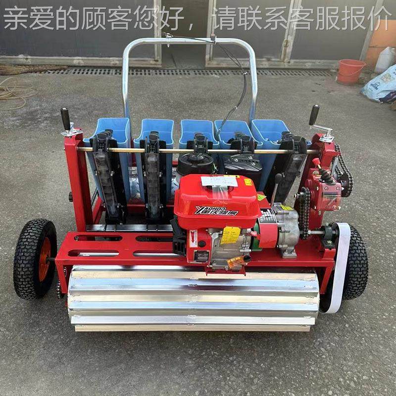 五行家行用大蒜播种 株距距WYR可调独机蒜种植机牵引式大蒜播 种
