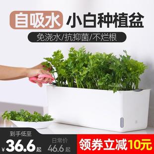 .家庭阳台种菜盆自吸水种花专用盆蔬菜种植箱家用花盆懒人种菜神