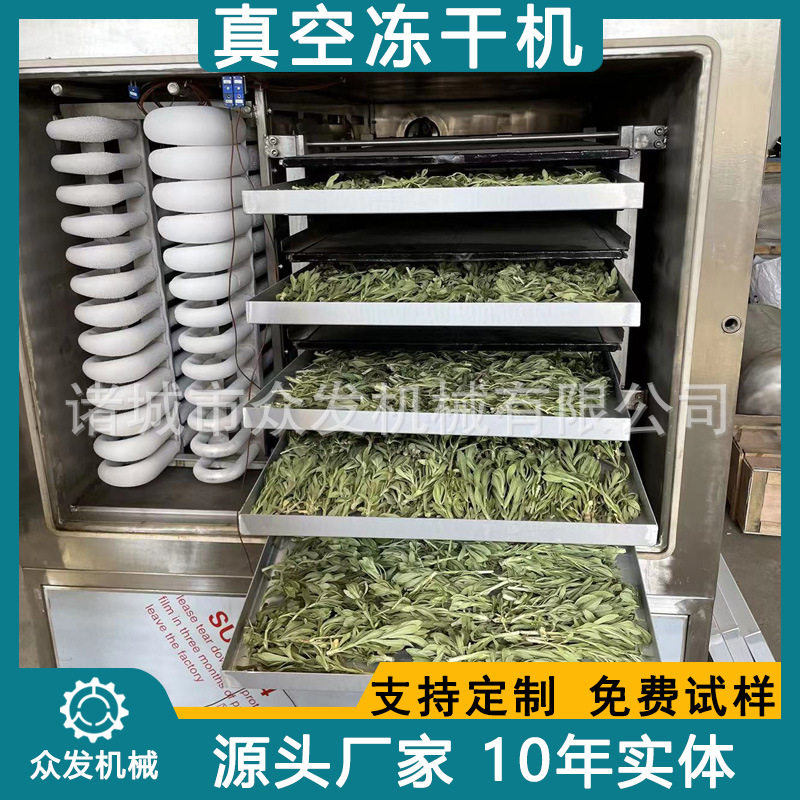 蔬菜小青葱真空冻干设备哈密瓜丁低温冻干机养心菜野菜冻干机厂家