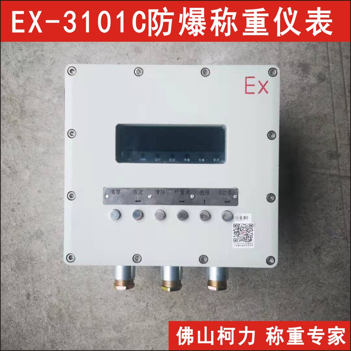 柯力EX-3101C防爆称重仪表
