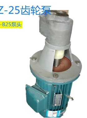 LBZ系列立式齿轮泵装置  CB-B25齿轮泵头稀油站系统 保质保量