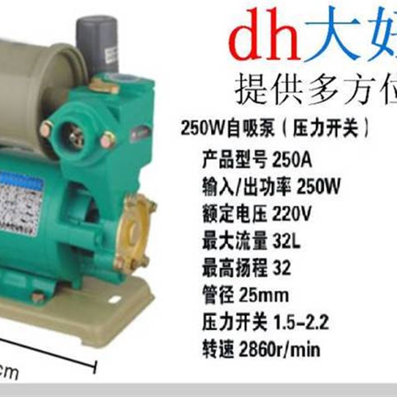 冷热250W全自动自吸泵增压泵水井用抽水泵循环泵管道加压泵