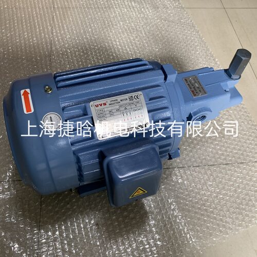 UVS MOTOR PUMP 电机泵组 UVS-2P-216V-750-7-01-1 润滑泵马达