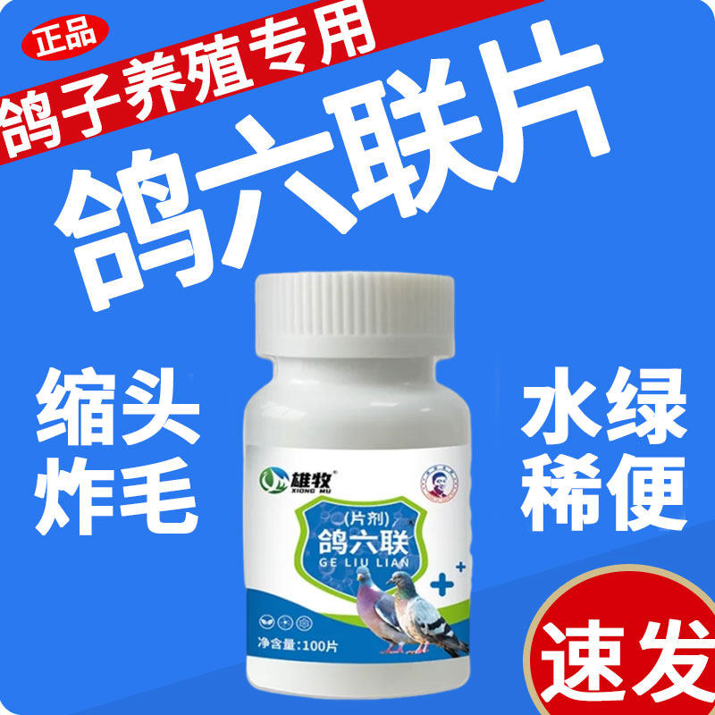 雄牧鸽六联片鸽子专用药大全正品病毒水绿稀便歪头甩食缩头炸毛药