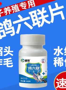 雄牧鸽六联片鸽子专用药大全正品病毒水绿稀便歪头甩食缩头炸毛药
