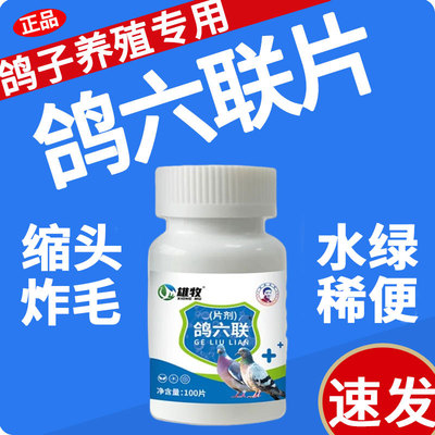 雄牧鸽六联片鸽子专用药大全正品病毒水绿稀便歪头甩食缩头炸毛药