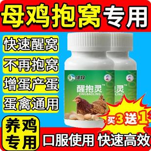 雄牧母鸡醒抱灵药正品鸡鸭鹅家禽孵化不让母鸡抱窝速醒起来趴窝药