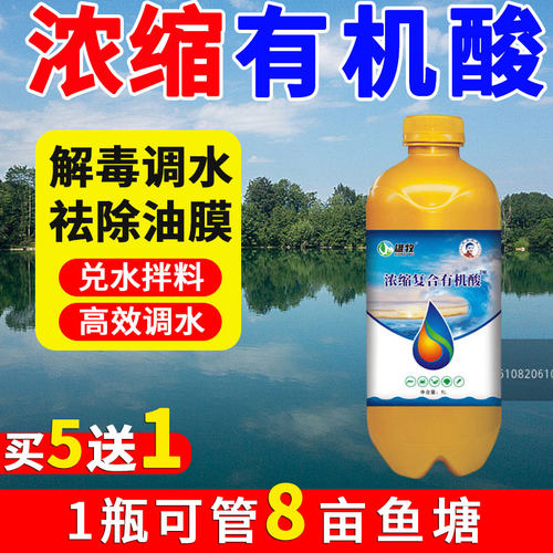 浓缩鱼塘复合有机酸分解油膜雄牧