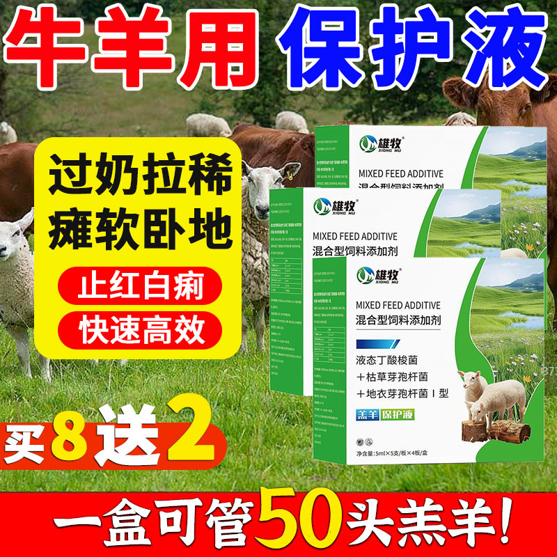 雄牧羔羊保护活力液小羊羔犊牛瘫卧地软不起黄白痢拉稀专用口服液