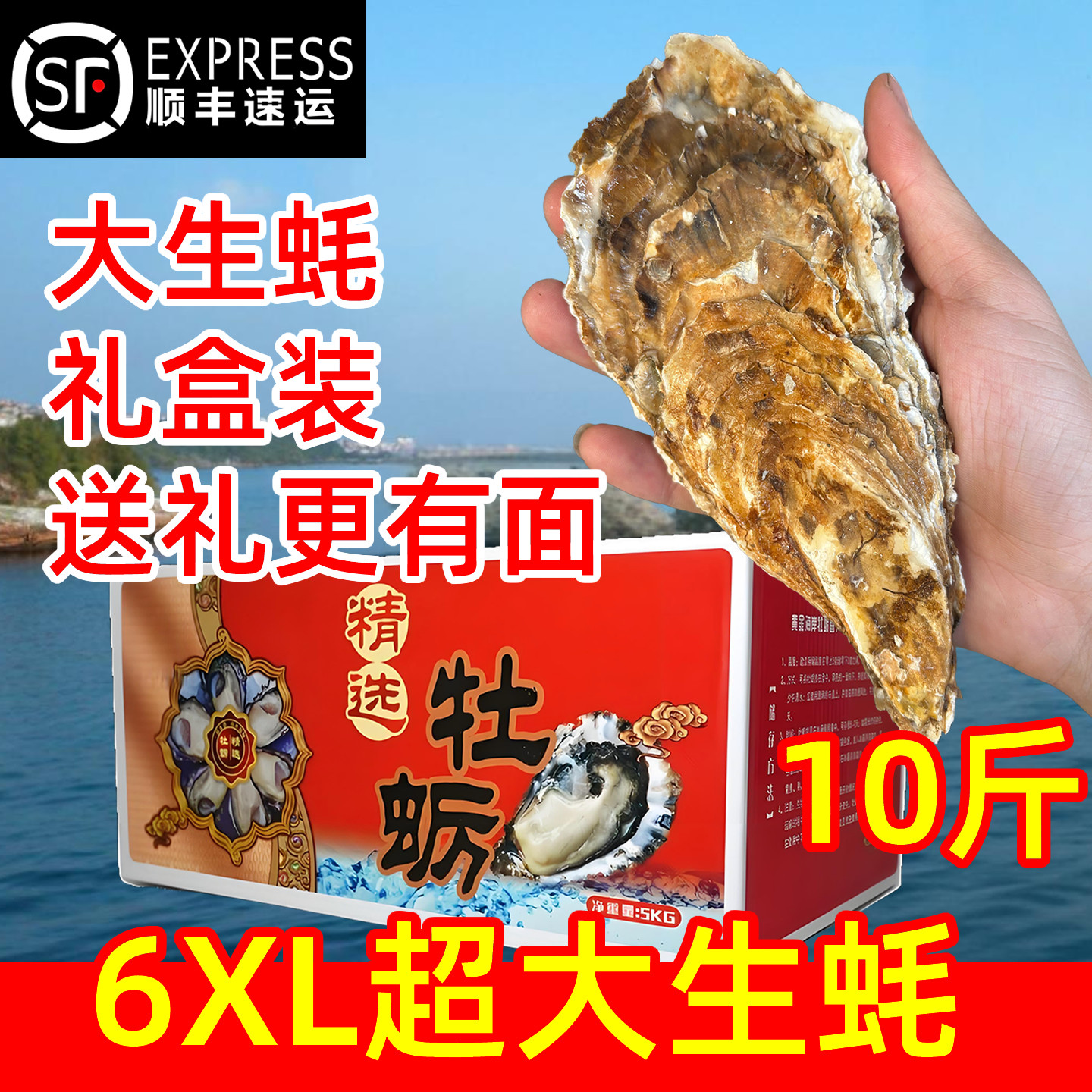 特大乳山生蚝鲜活10斤新鲜海生蚝蛎子整箱海鲜超大牡蛎贝壳礼盒装
