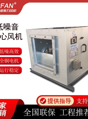 新款DBF箱体式离心风机JDFv-P低噪音管道风机 DSF消防排烟柜式包