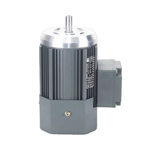 圆柱齿轮减速机马达厂家直销可定 卧式 东宇三相异步电机l 东宇立式