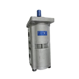 E310 F308 包邮 F312 E320 CBWL CLPLz F10 双联泵CBWLN 新款