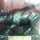 L石雕耕牛 石雕拓荒牛 工艺摆件 石牛 石雕牛