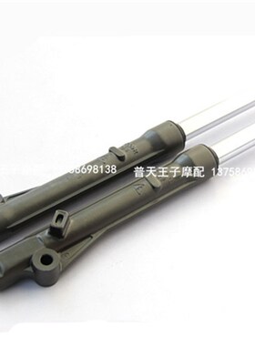 QJ110-6E/10Cm/-18C/-6H/-18E/18D前减震器 前避震 前叉